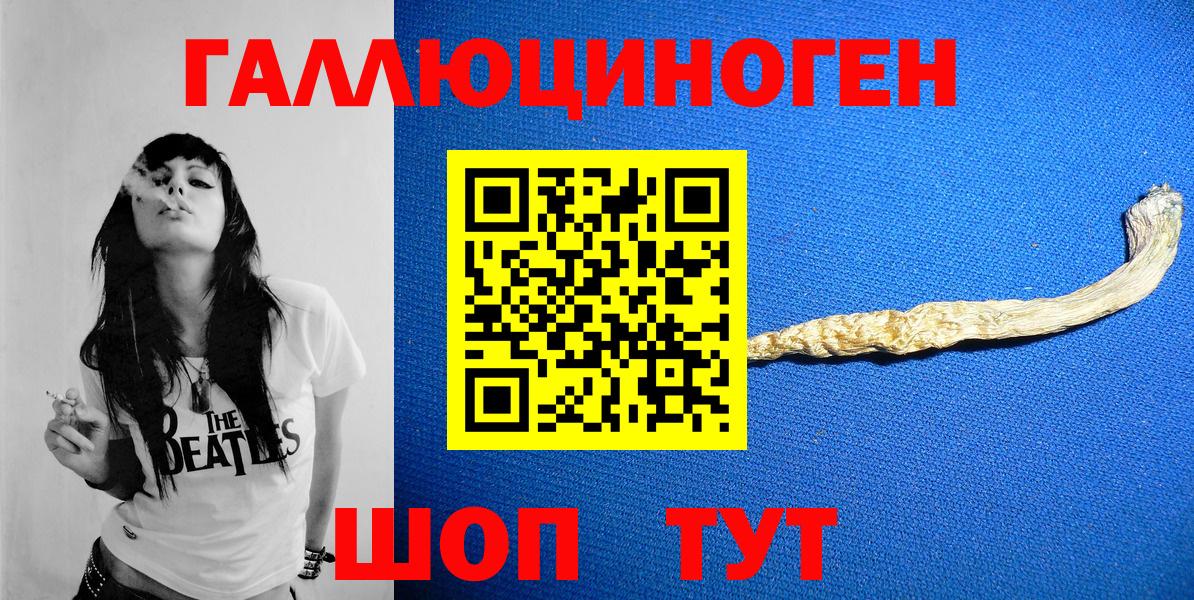 Галлюциногенные грибы Psilocybine cubensis Буйнакск