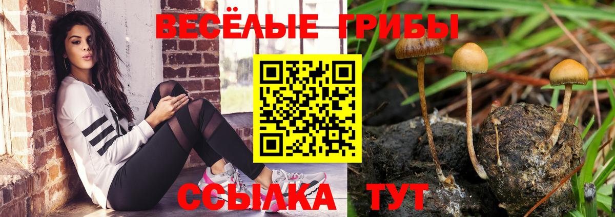Буйнакск  Псилоцибиновые грибы Magic Shrooms  Вход с VPN 